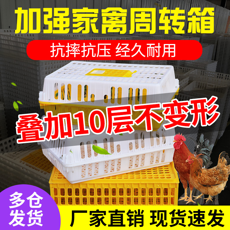 耐尔尼鸡笼周转箱成鸡鸭鹅运输笼加厚塑料鸡笼子特大号家禽鸡用框
