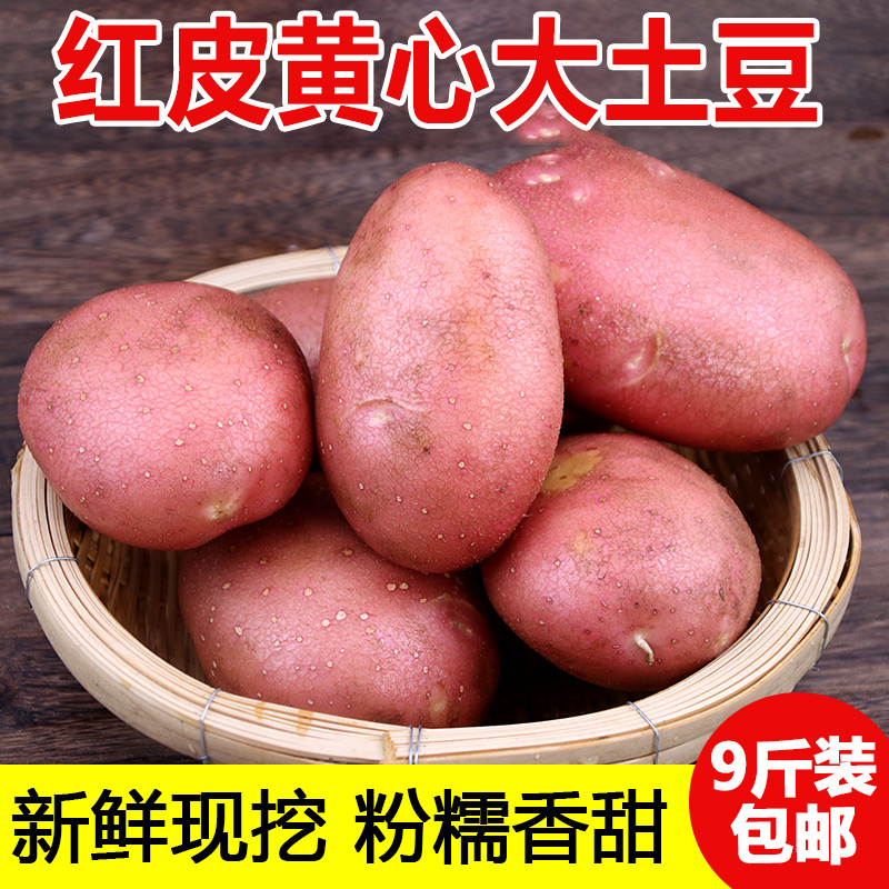 新鲜大土豆农家自种蔬菜云南红皮黄皮黄心土豆马铃薯洋芋9斤包邮