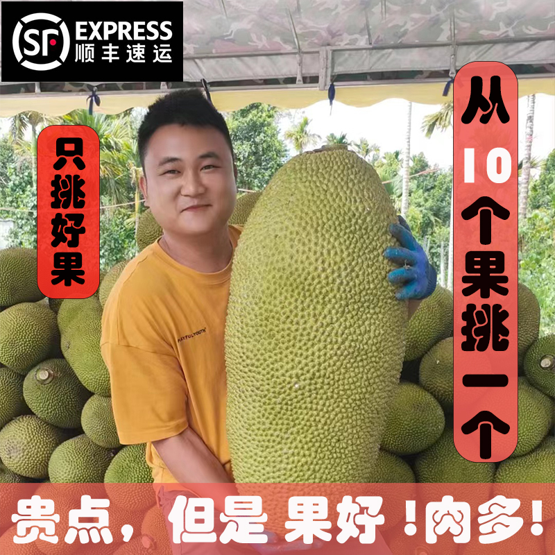 【顺丰】海南黄肉菠萝蜜新鲜水果40斤波罗蜜当季整特产一整个包邮