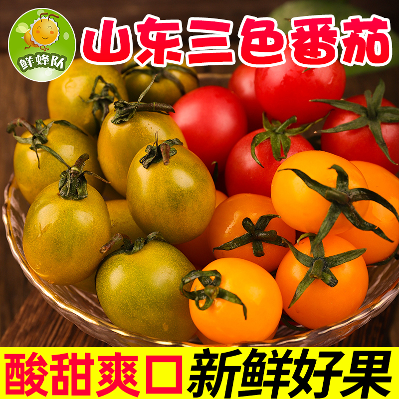 鲜蜂队山东三色小番茄三色小柿子新鲜应季水果迷你小番茄