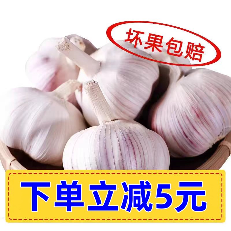 农家干大蒜头批发河南杞县特产2023年蒜头新鲜白紫皮低价干蒜5斤