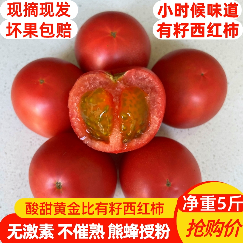草莓西红柿新鲜自然熟铁皮柿子水果番茄生吃黄金籽西红柿老品种