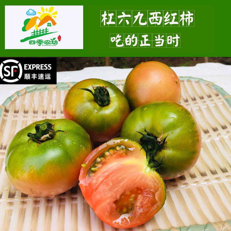 青岛绿腚老品种杠六九西红柿新鲜水果番茄自然熟69柿子5斤包邮