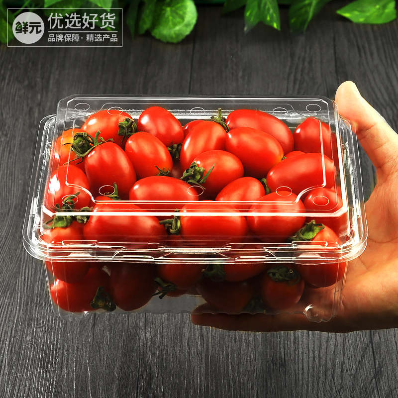 鲜元500克水果盒一次性1斤水果包装盒草莓金桔打包盒带盖塑料盒子