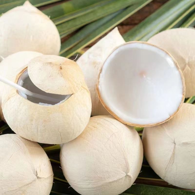 海南文昌特产牛奶巨大椰皇小奶椰新鲜当季老椰子椰青9个装孕妇水