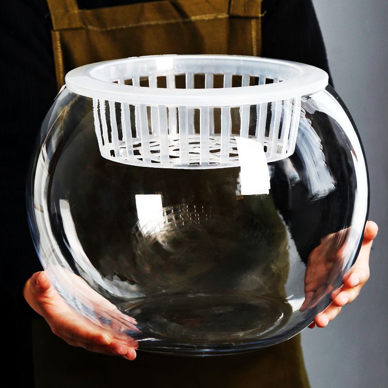 水培植物玻璃瓶透明玻璃花瓶绿萝花盆水养植物器皿圆球型鱼缸容器