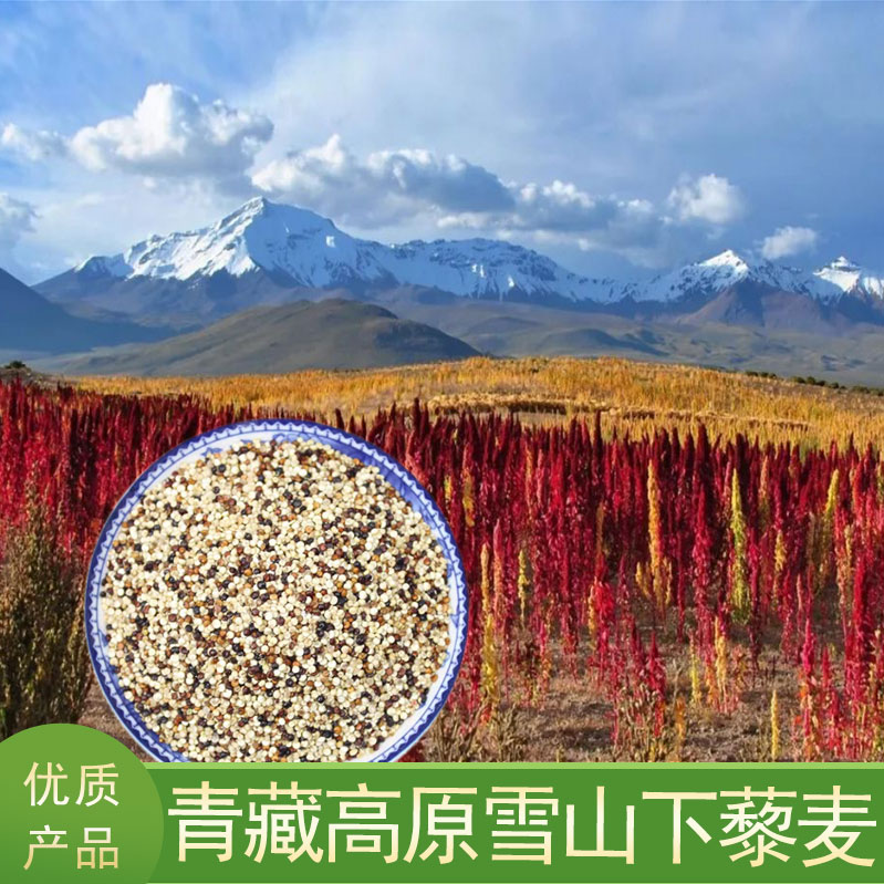 拍2减10 拍3减22 青藏高原雪山下藜麦 2斤