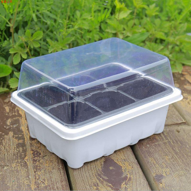 爆款热销6孔育苗盒三件套植物培养保湿温盒育苗盘透气12孔塑料播
