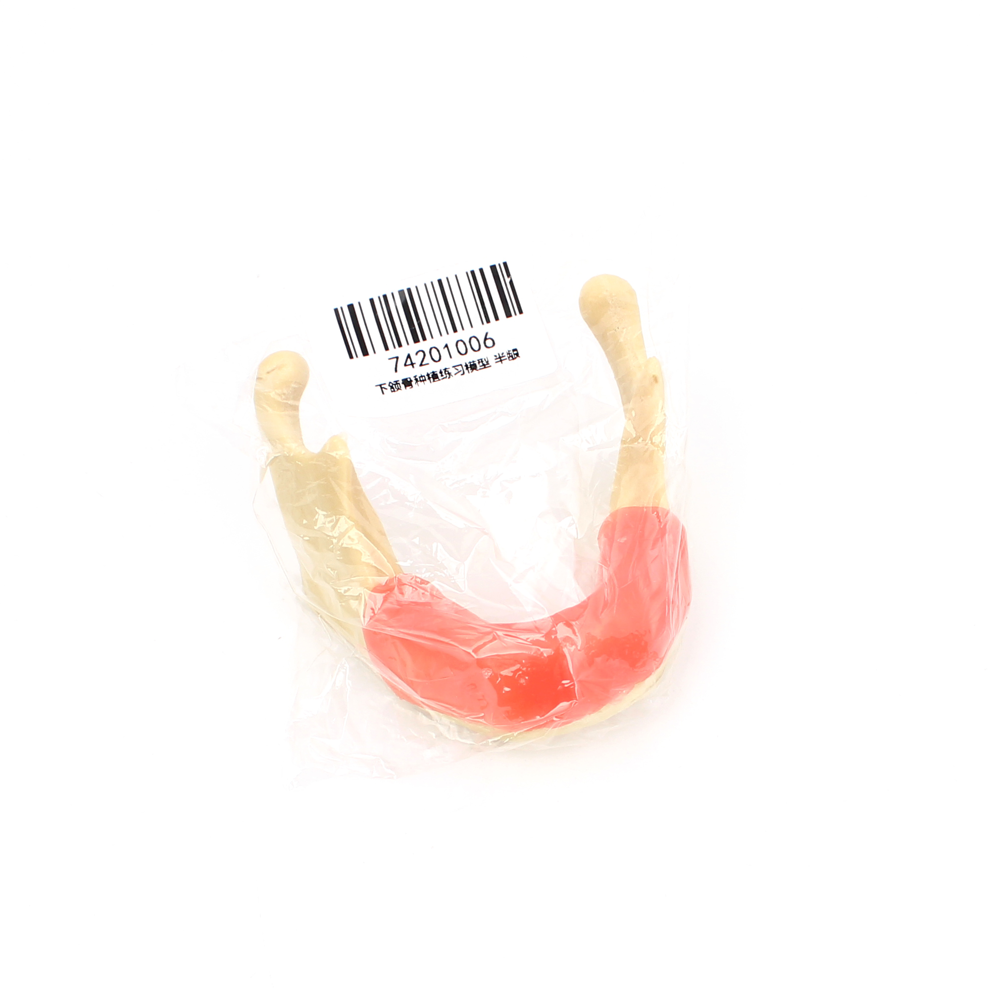 牙科材料教学模型练习济宁星星 下颌骨种植练习模型-半龈
