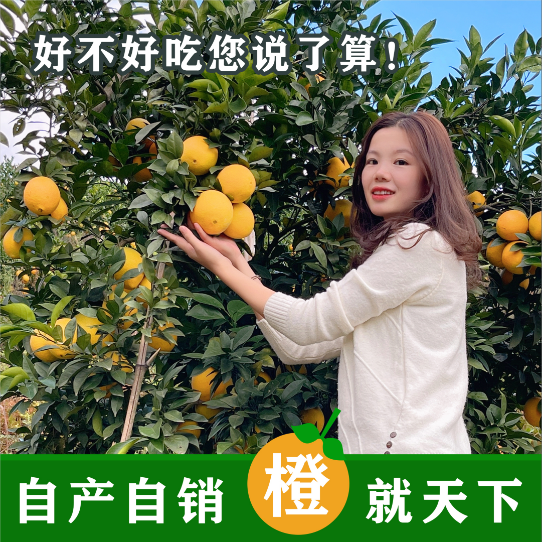 江西赣南脐橙农产品现摘现发有机橙子水果超甜果园直供10斤装包邮