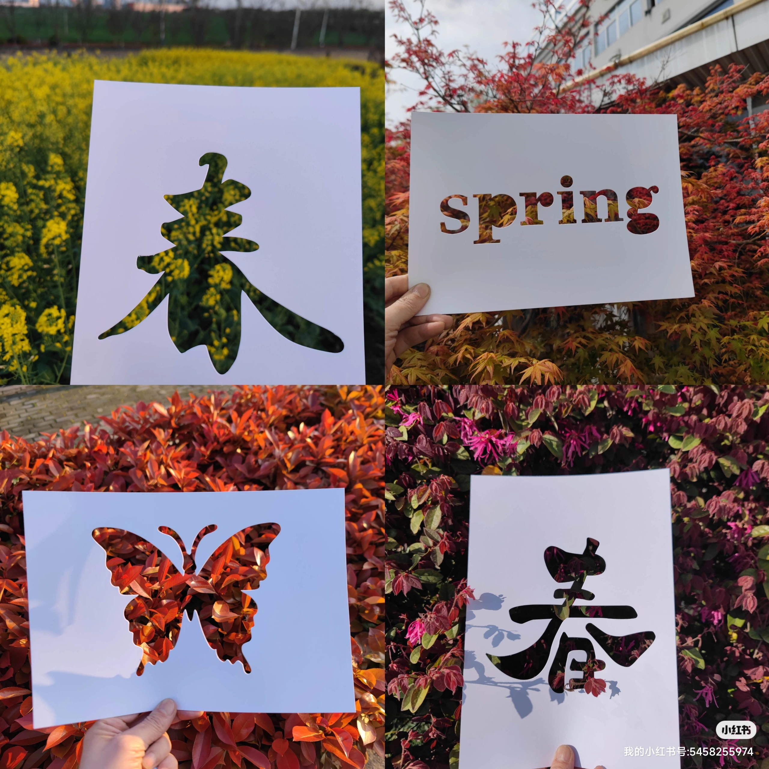 A4镂空春字白色卡纸铜版纸镂空里的春天蝴蝶兔子松鼠中国地图燕子