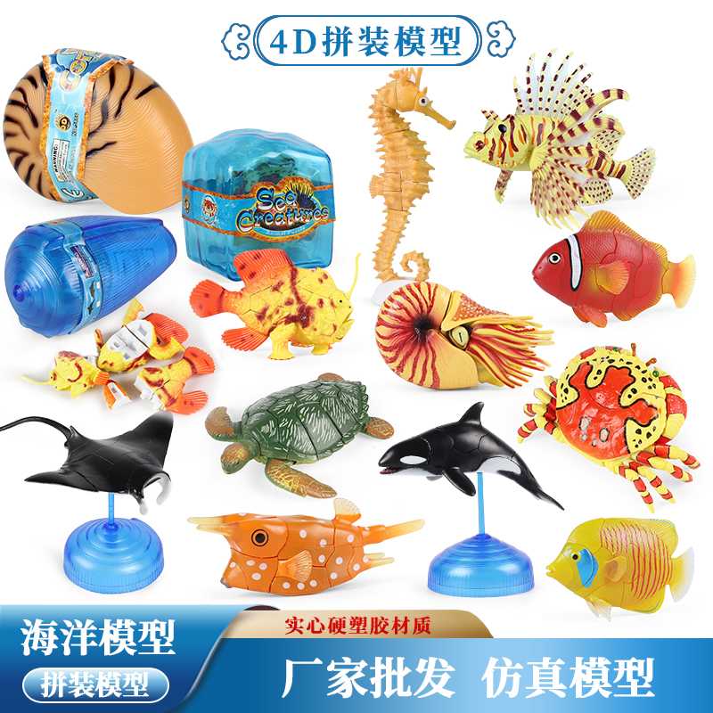 仿真海洋动物4D立体拼装模型玩具鲨鱼鹦鹉螺小丑鱼鲸鱼海马螃蟹
