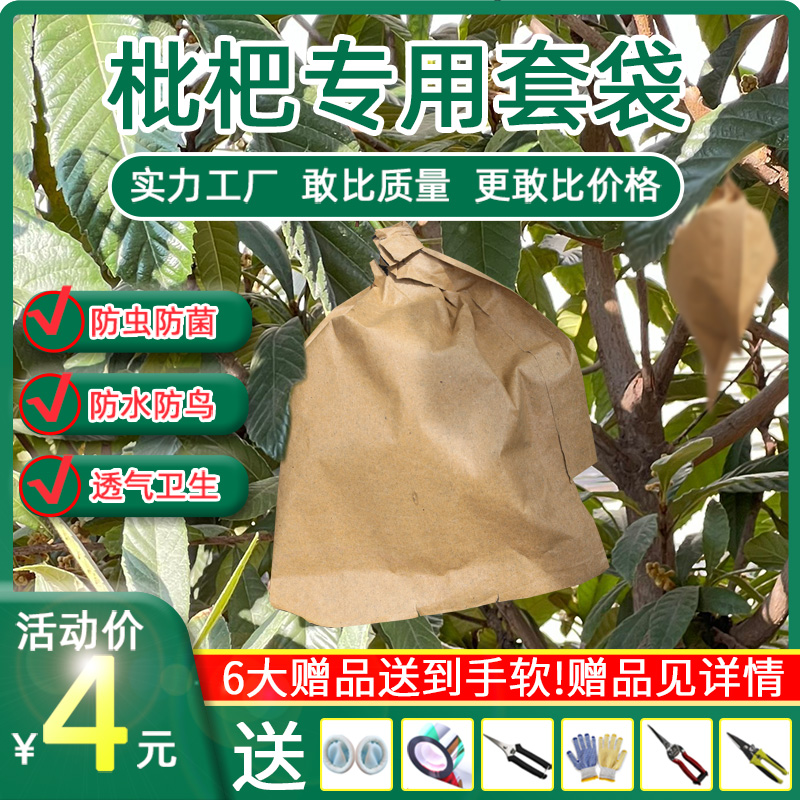 枇杷套袋专用袋芒果纸袋防水防鸟虫育果袋枇杷芒果袋果树水果套袋