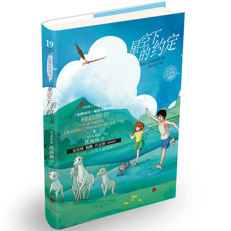 星空下的约定（马来西亚）沈雨仙阳光少年系列 少年成长小说 青少年励志读本