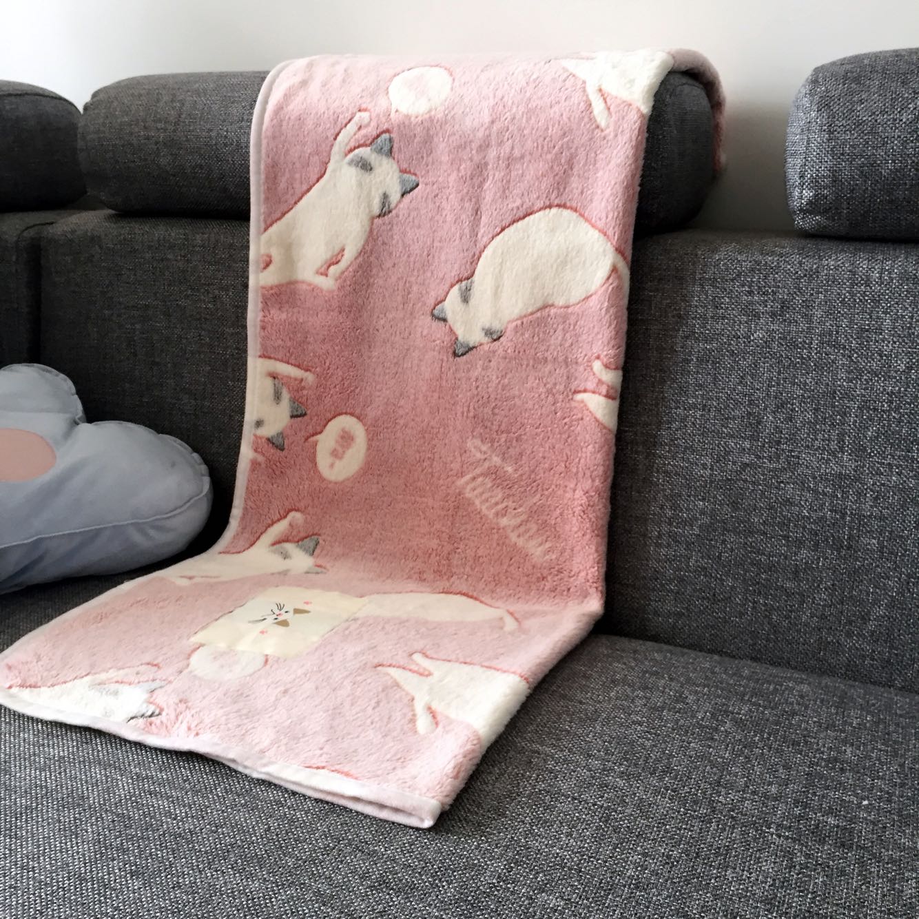 日系粉色猫咪个性创意法兰绒小毛毯办公室膝盖毯子床单女生毯春秋