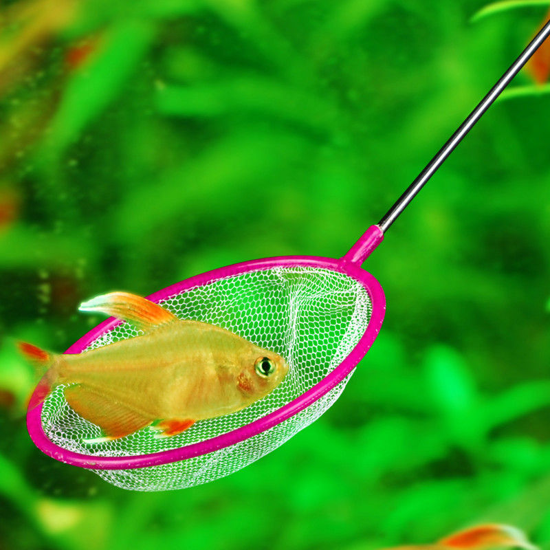 柏卡乐 圆形鱼捞鱼缸水族箱金鱼热带鱼手抄网 细孔鱼捞颜色随机
