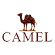 郑州camel骆驼名驼