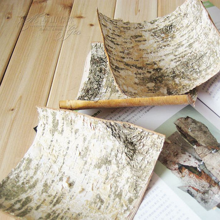 天然白桦树皮工艺品装饰风干工艺拍摄道具榆树皮包管道DIY材料