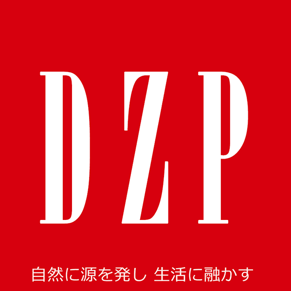 DZP工厂店