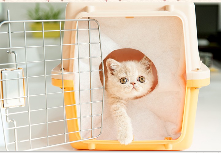 宠物航空箱托运保暖罩内胆猫用保温罩套保暖窝猫咪育婴房保温箱