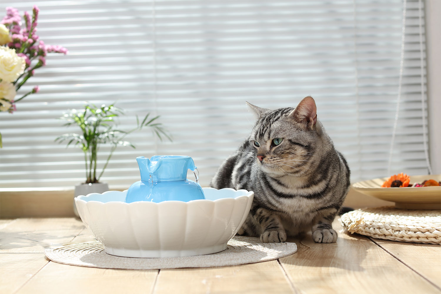 猫狗用自动循环喝水器狗喂水器陶瓷猫咪饮水机DR160静音水泵莲花