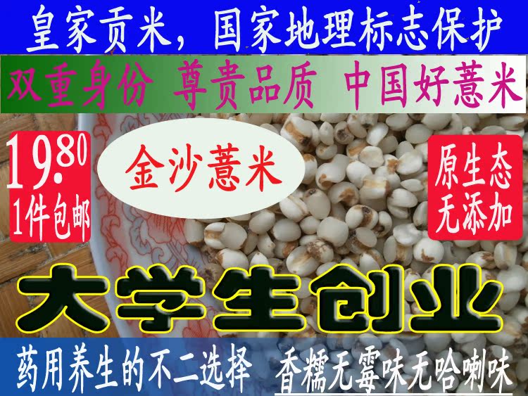 农家自产仙游龙华镇金沙薏米无霉味香糯无添加500薏米包邮新米