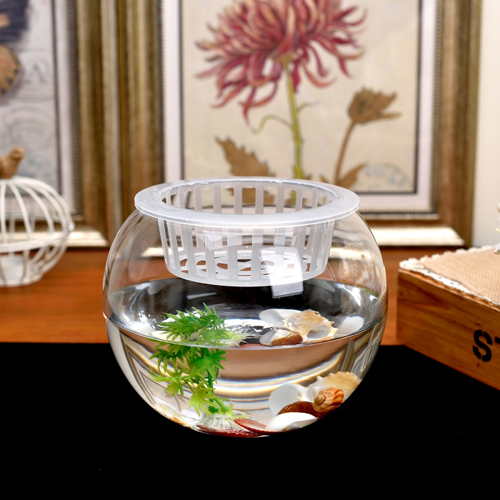简约客厅花瓶 透明玻璃鱼缸圆球花瓶 金鱼缸 水培绿萝铜钱草花器