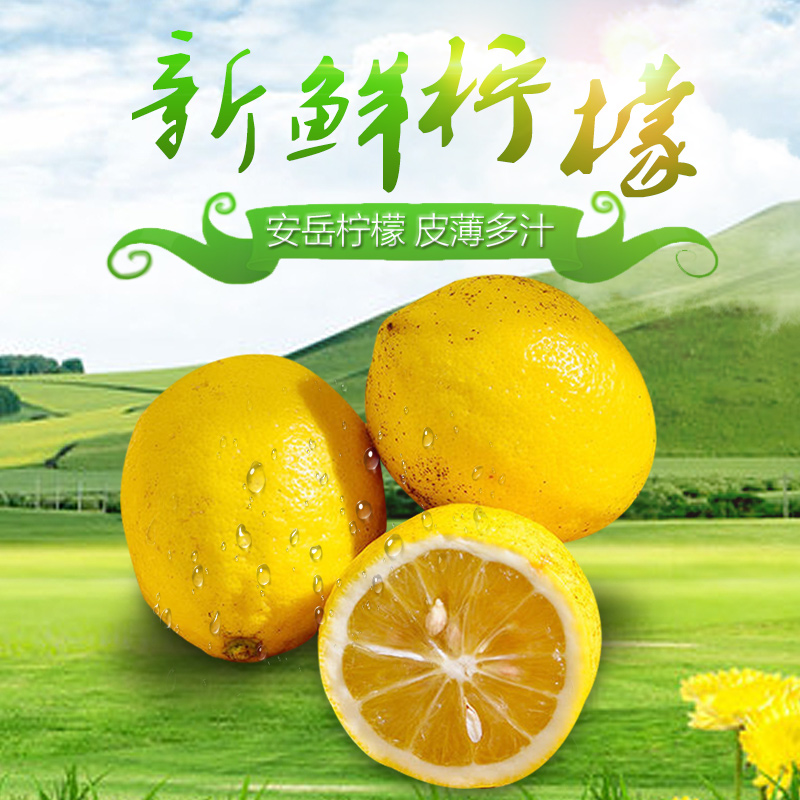 四川安岳新鲜黄柠檬二三级丑果产地直销5斤装非香水柠大小请备注