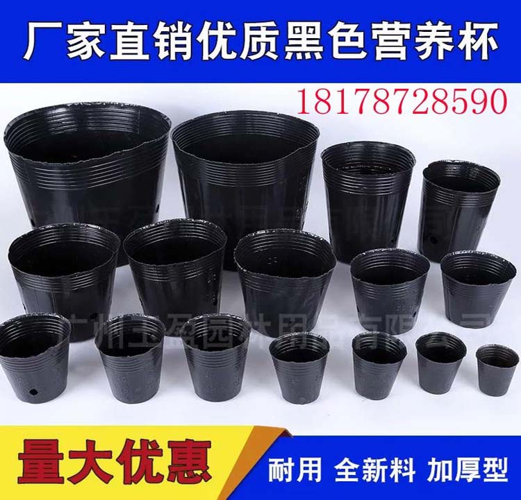 黑胶营养金利塑料杯塑料简易盆花盆育苗盆育苗杯营养钵一件的价格