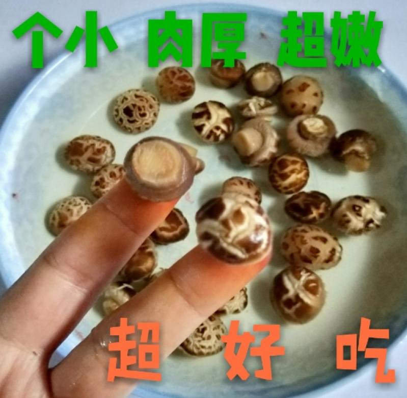 新品上架  特小花菇特级剪脚小香菇干货野生小珍珠菇500g包邮蘑菇