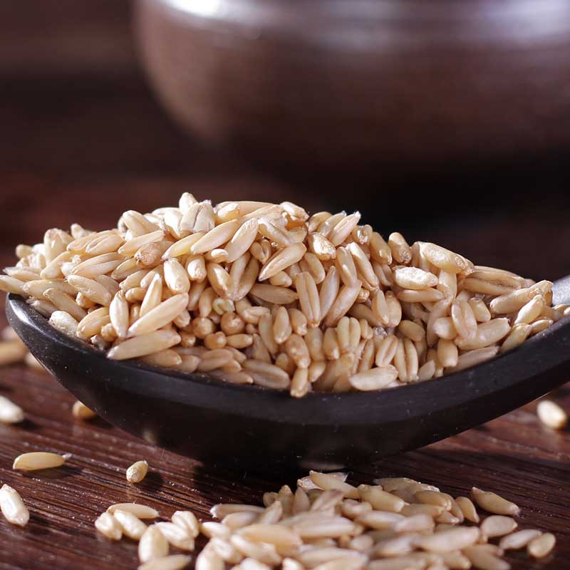 全胚芽燕麦米生燕麦米粒优质粗粮杂粮新米1kg