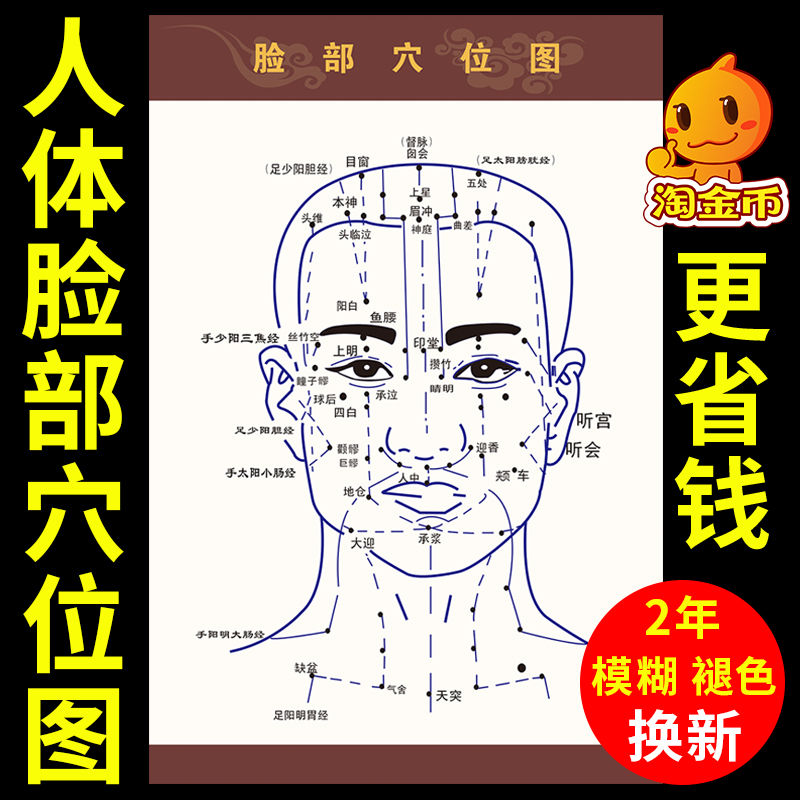 中医养生海报面部美容人体穴位图挂图美容院宣传画按摩脸部经络图